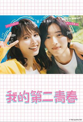 未亡人先生海报剧照